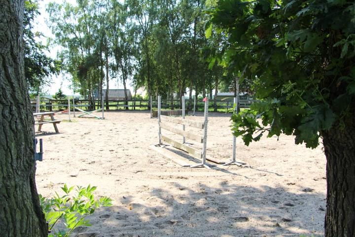 Onze paarden