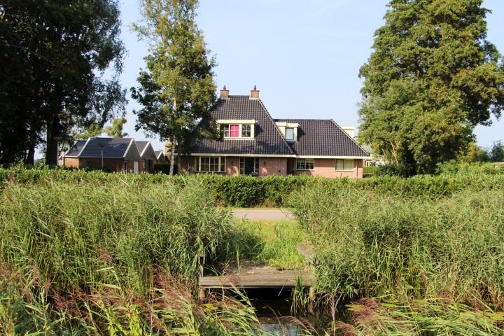 Buitengebied